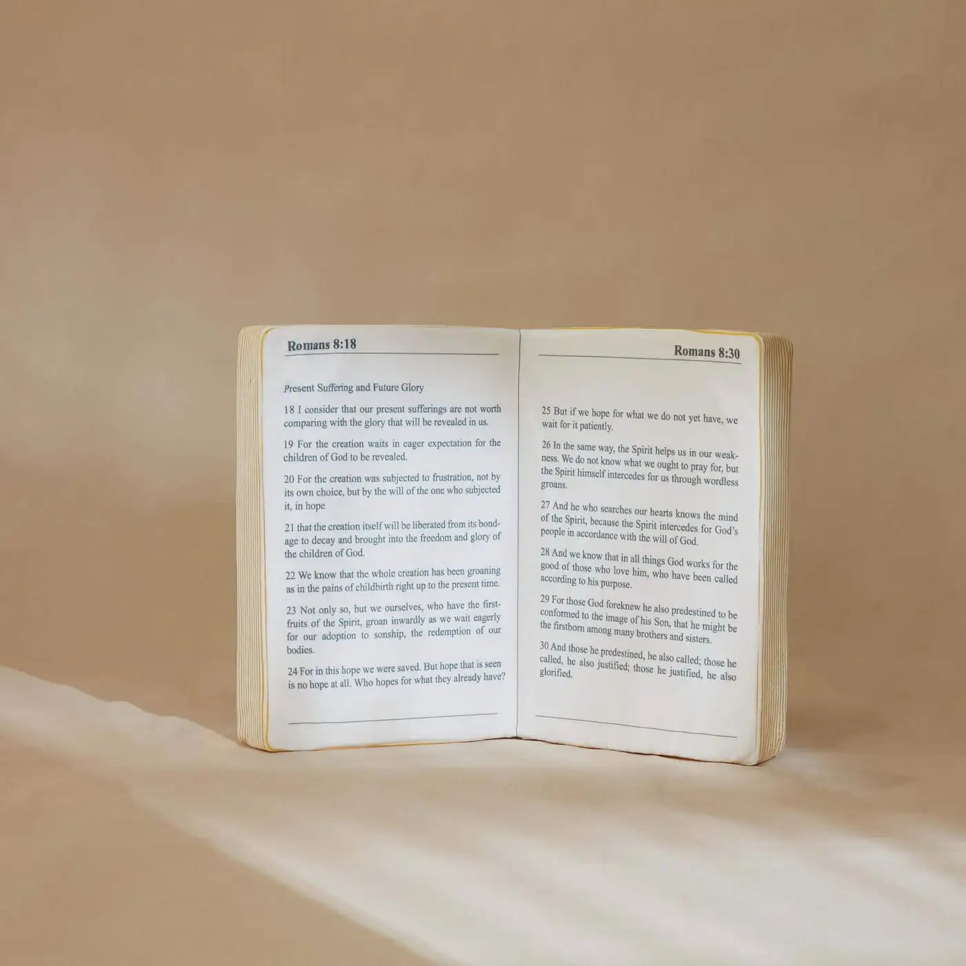 Romans 8:18 Holy Bible Pillow