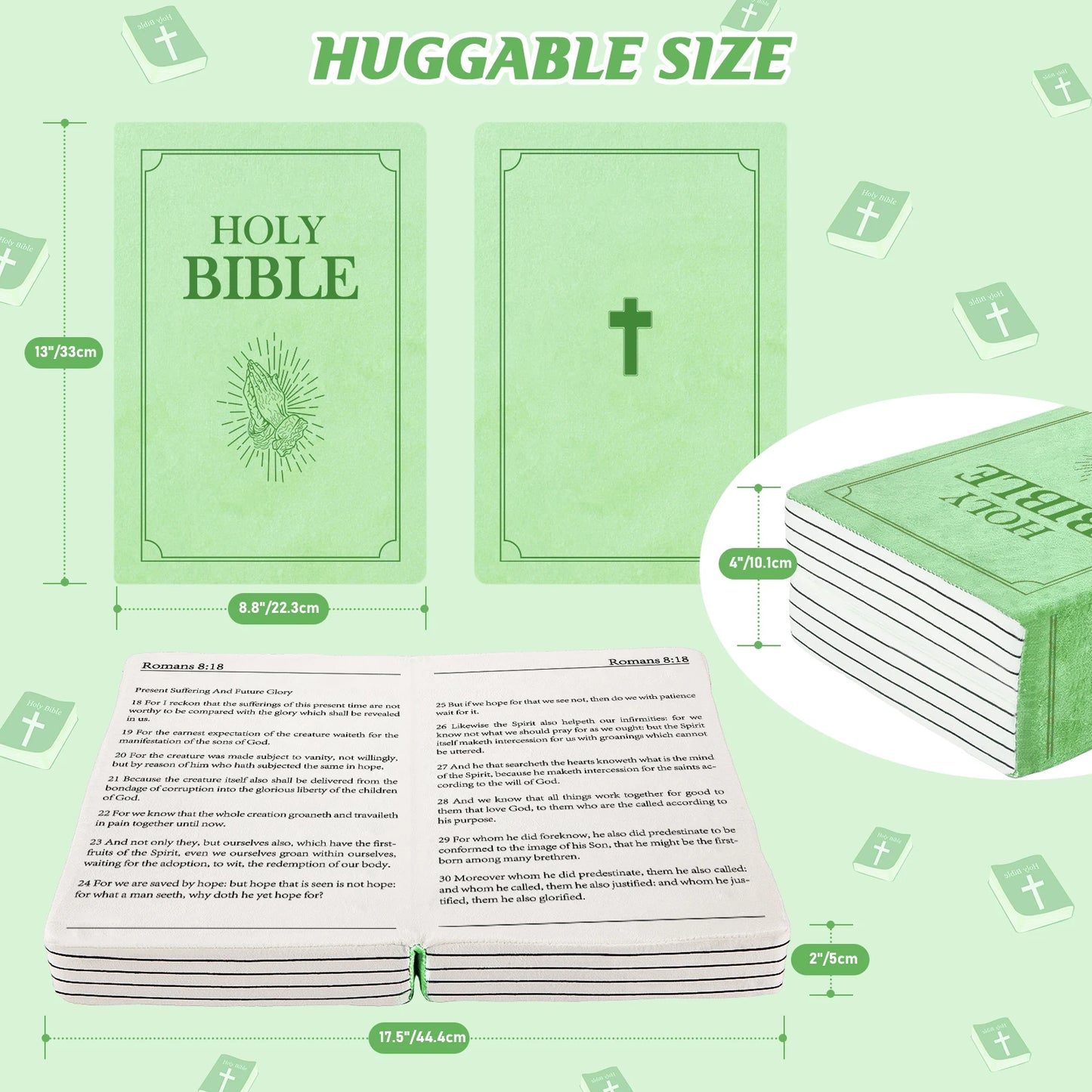 Romans 8:18 Holy Bible Pillow