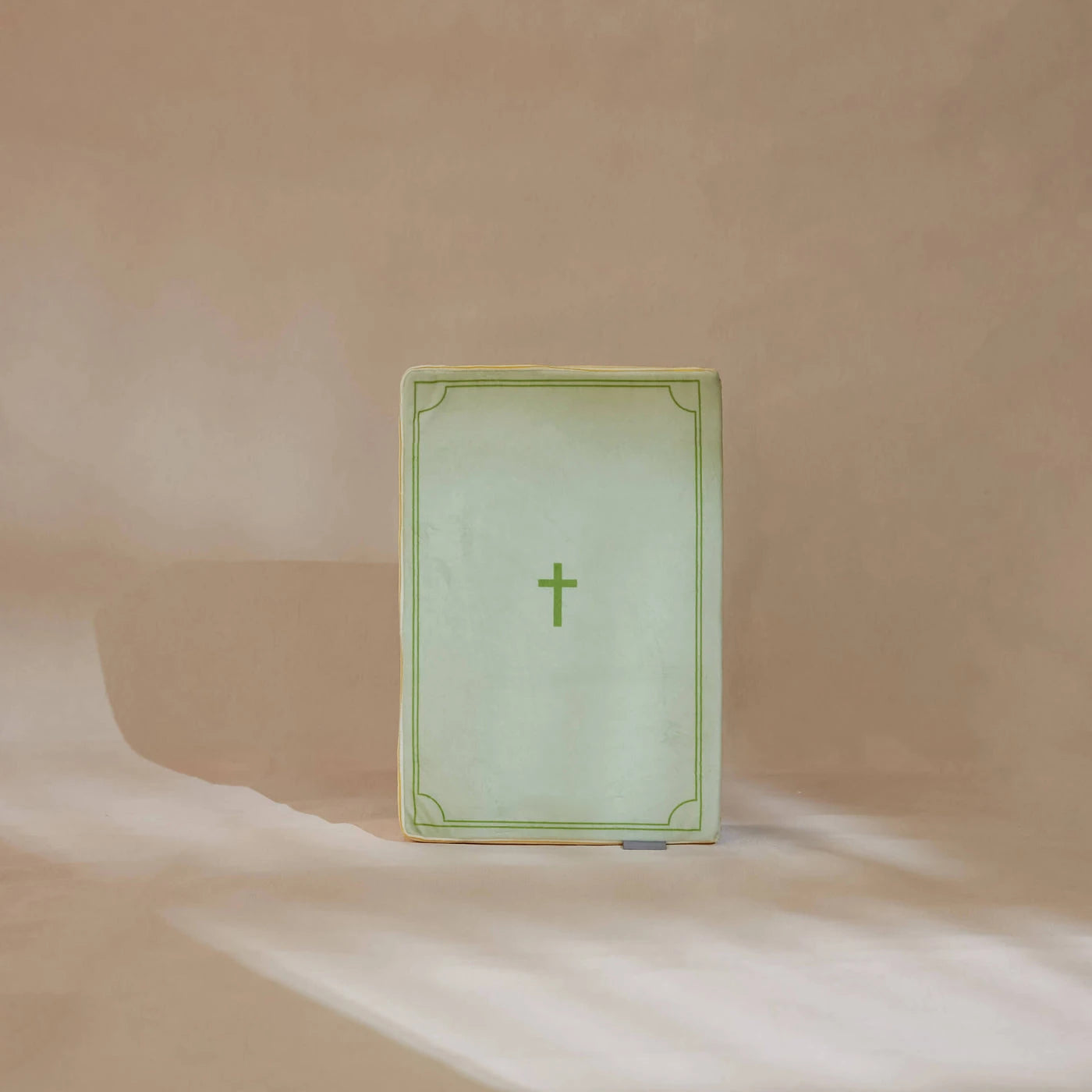 Romans 8:18 Holy Bible Pillow