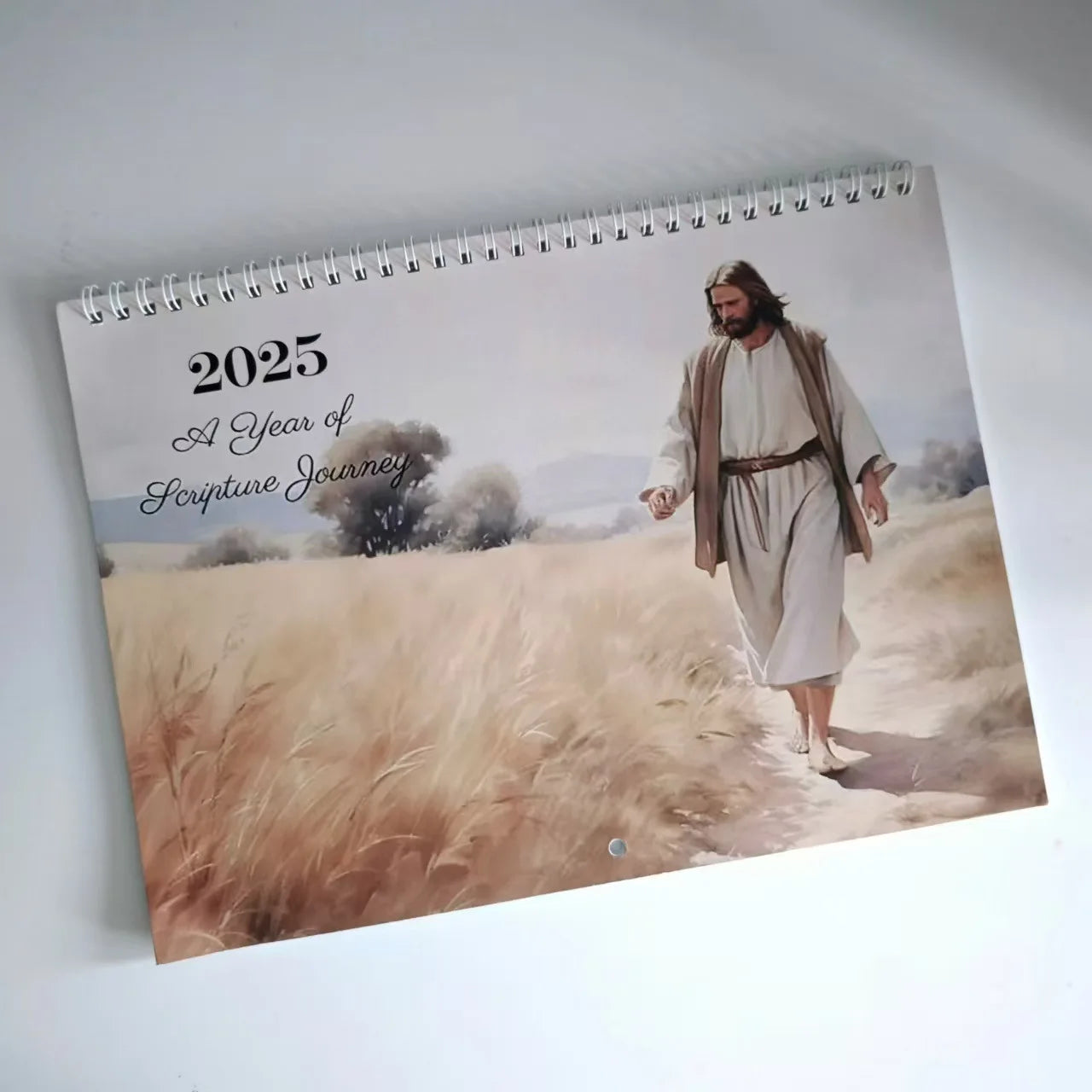 2025 Christian Bible Stories Wall Calendar