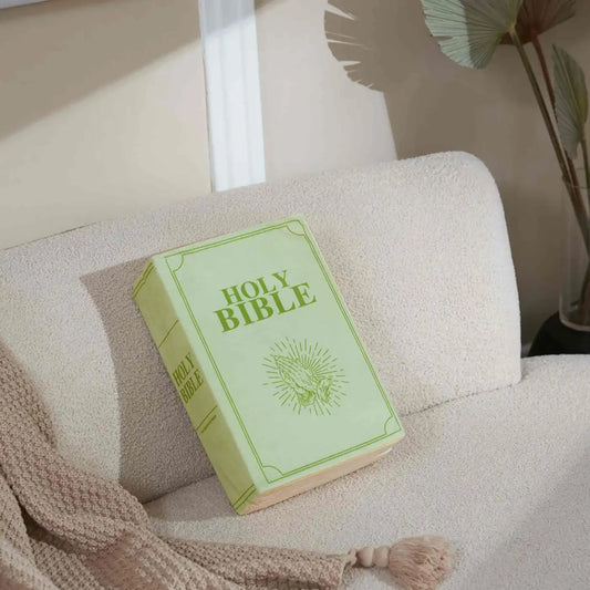 Romans 8:18 Holy Bible Pillow